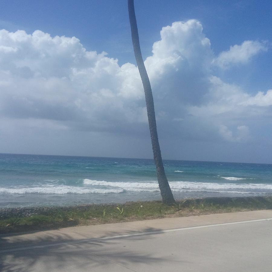 Apartahotel Miramar San Andrés Rum bild
